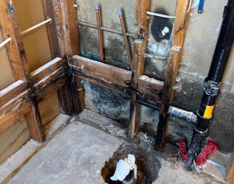 Mold Cleaning & Restoration